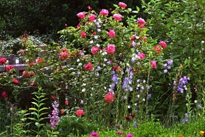 Naturgarten